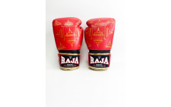 Боксерские перчатки Raja Snake red 14 oz