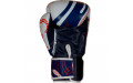 Боксерские перчатки Twins Special FBGVL4-67 Yant 12 oz