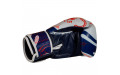 Боксерские перчатки Twins Special FBGVL4-67 Yant 12 oz