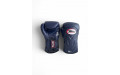 Боксерские перчатки Twins Special BGVL6 Navy/Navy 14 oz