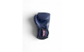 Боксерские перчатки Twins Special BGVL6 Navy/Navy 16 oz
