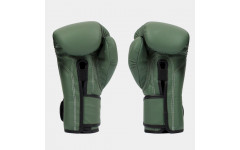 Боксерские перчатки Fairtex BGV11 F-DaY 14 oz Боксерские перчатки Fairtex BGV11 F-DaY 14 oz