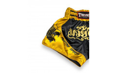 Шорты для бокса Twins Special TBS DRAGON 2 - XL Шорты для бокса Twins Special TBS DRAGON 2 - XL
