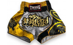 Шорты для бокса Twins Special TBS DRAGON-1 XL