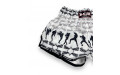 Шорты для бокса Raja Boxing Fighter white 2XL