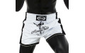 Шорты для бокса Fairtex BS1707 (белый) L