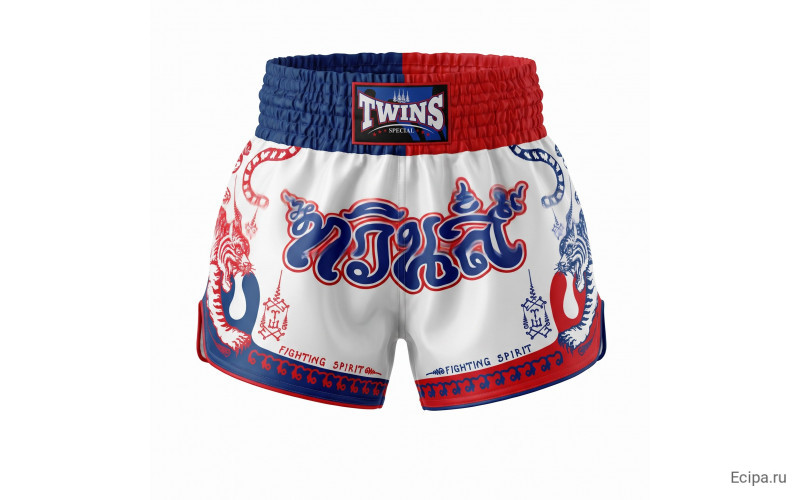 Шорты для Muay Thai Twins Special TBS Yant L