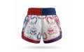 Шорты для Muay Thai Twins Special TBS Yant XL