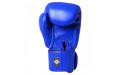 Боксерские перчатки Twins Special BGVL3 blue 14 oz
