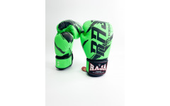 Боксерские перчатки Raja model 3 green 10 oz