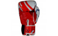 Боксерские перчатки Twins Special FBGVL4-67 Yant 14 oz